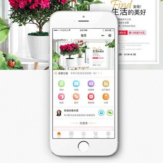 桑珠孜门店微商城小程序开发