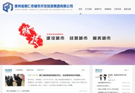 桑珠孜城市开发投资集团有限公司